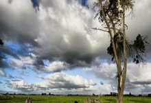 开云体育-紫百合客场韧性绽放：平局背后的战术涅槃