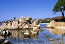 开云官网-布宜诺斯艾利斯独立焦点战役引爆球迷期待