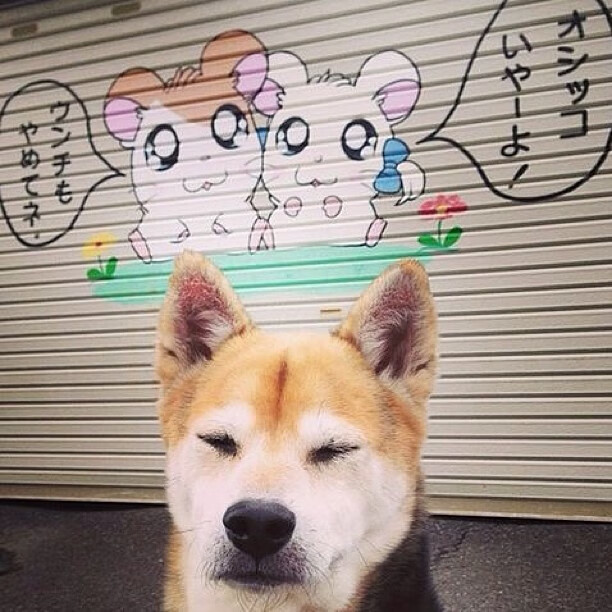 开云平台-莫兰特撕裂热火防线，灰熊速胜书写新篇