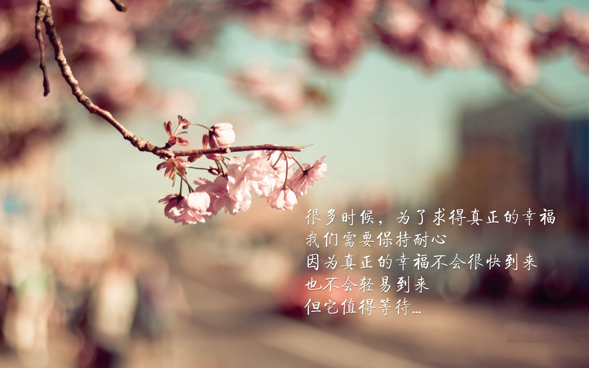 东决关键战焦点战，尤文图斯横扫曼联的体育启示录