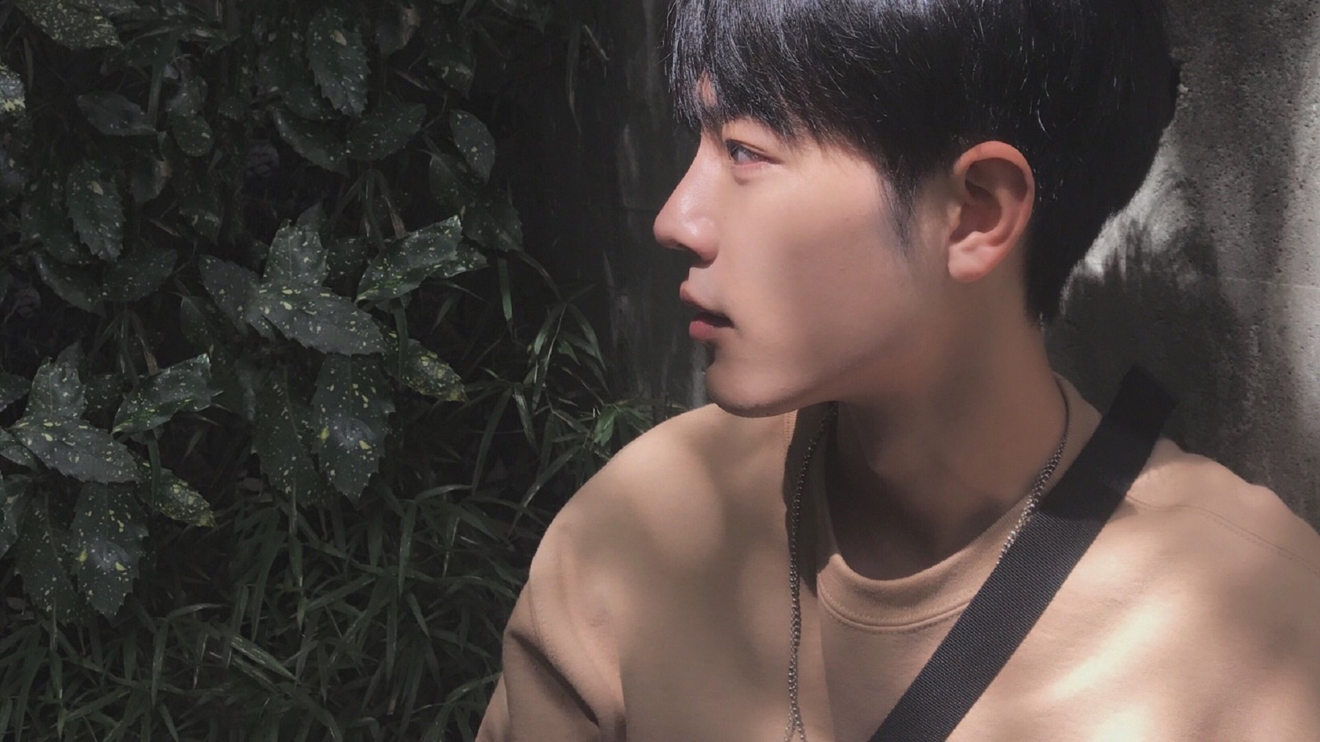 当欧冠遇到CBA，足球与篮球之夜的奇妙碰撞