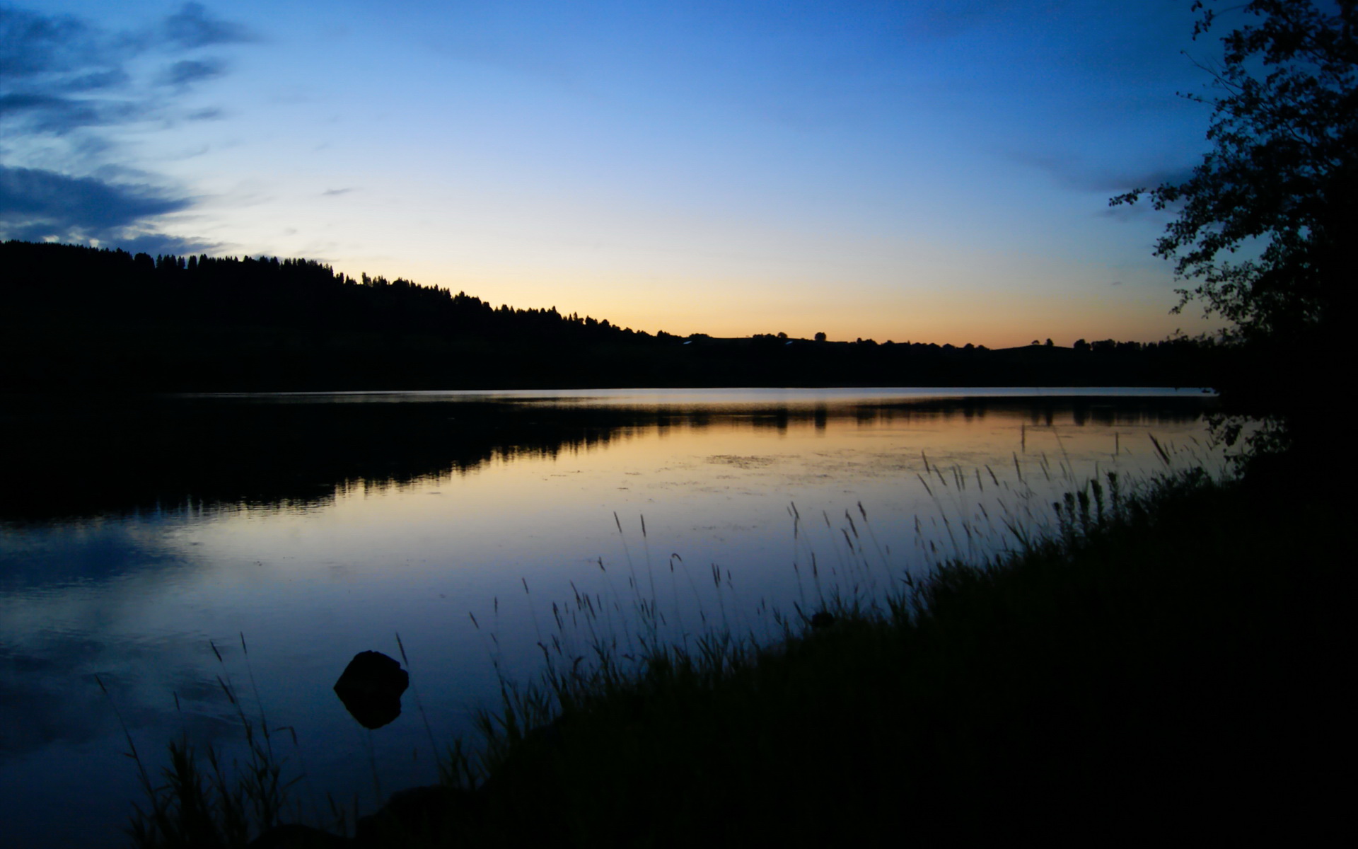 开云体育官网-南美风暴席卷伦敦城，李刚仁关键一剑，助玻利维亚打穿枪手铁壁