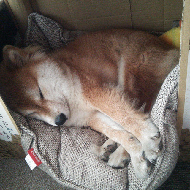 街头硝烟与绿茵生死，当F1弯道与希腊奇迹奏响人类极限双重奏