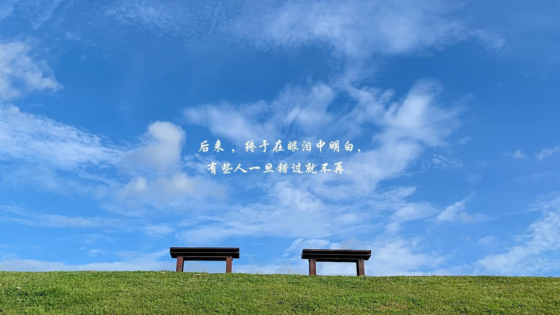 黄蜂之刺,武切维奇如何用进攻手术刀肢解绿军防线?